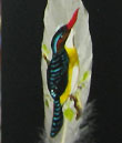 Painting on feather